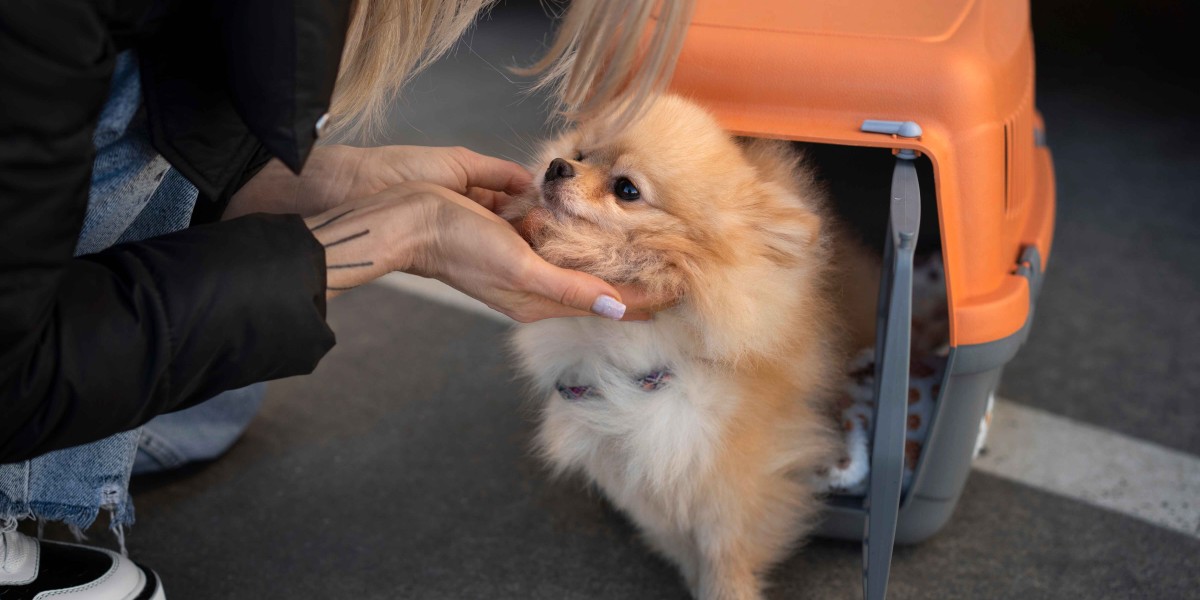 What are the JetBlue Pet Travel Fee Charges?