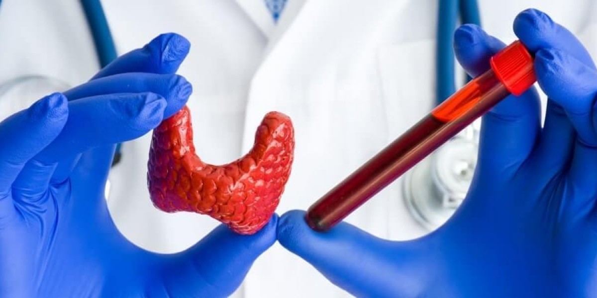 Thyroid Function Test Market: Comprehensive Research on Growth Drivers, Restraints, and Opportunities