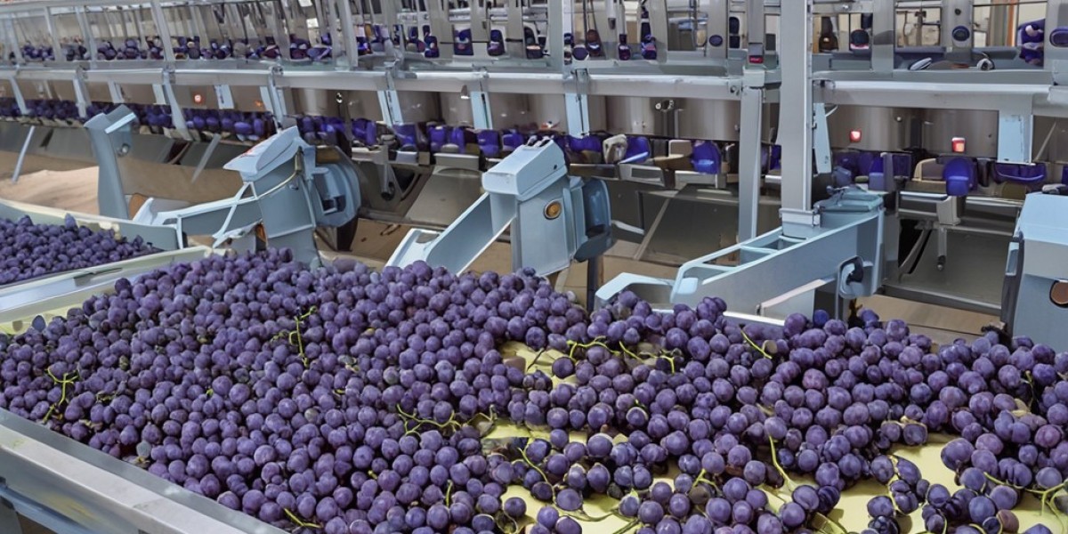 Table Grape Processing Plant Project Report 2024: Industry Trends and Raw Materials