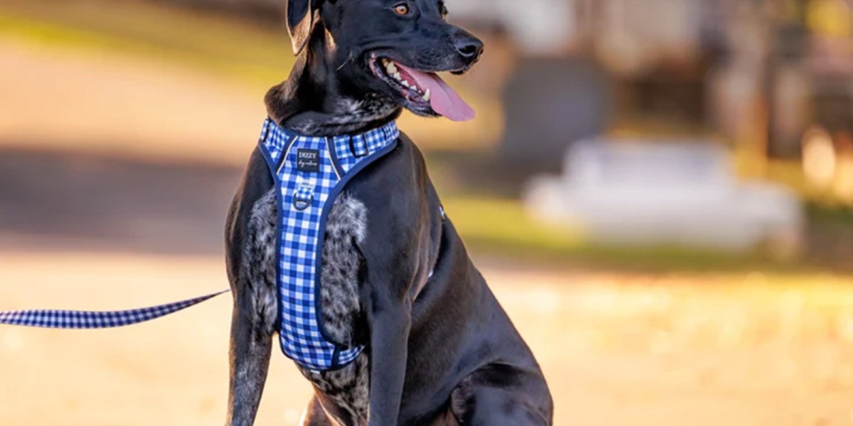 Comfort and Style: Your Guide to the Best Waterproof Dog Mattress and Luxury Rolling Pet Carriers