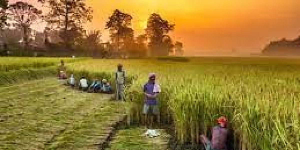 Growing Period Crop Insurance Market: Trends, Opportunities, and Future Outlook
