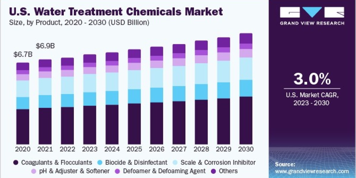 Water Treatment Chemicals Market 2030: Meeting the Demands of Emerging Economies