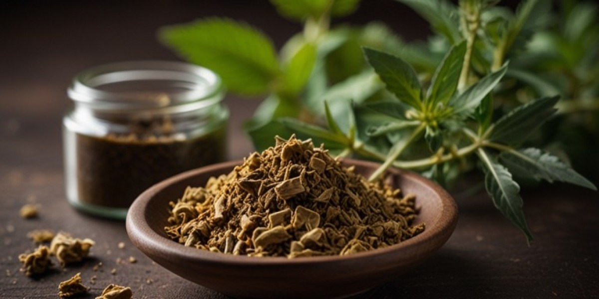 Herbal Snuff Manufacturing Plant 2024: Industry Trends and Machinery