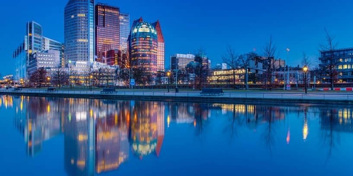 Highly Highly Skilled Migrants in the Netherlands: A Guide for Employers