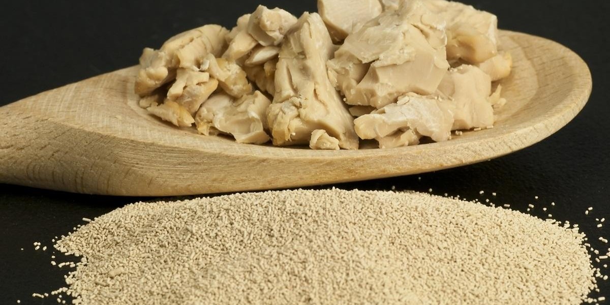 Dry Yeast Market: Exploring Key Trends, Drivers, and Challenges in the Fermentation Industry by 2024