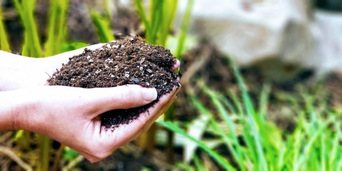 Biochar Market Size, Share & Trends Analysis Report By Type By End-use, By Region, And Segment Forecasts, 2024 – 203