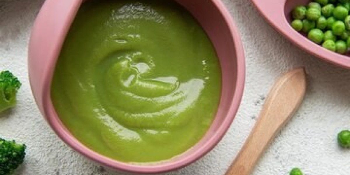 Vegan Baby Food Market Dynamics: Growth Forecast, Opportunities, and Challenges Ahead