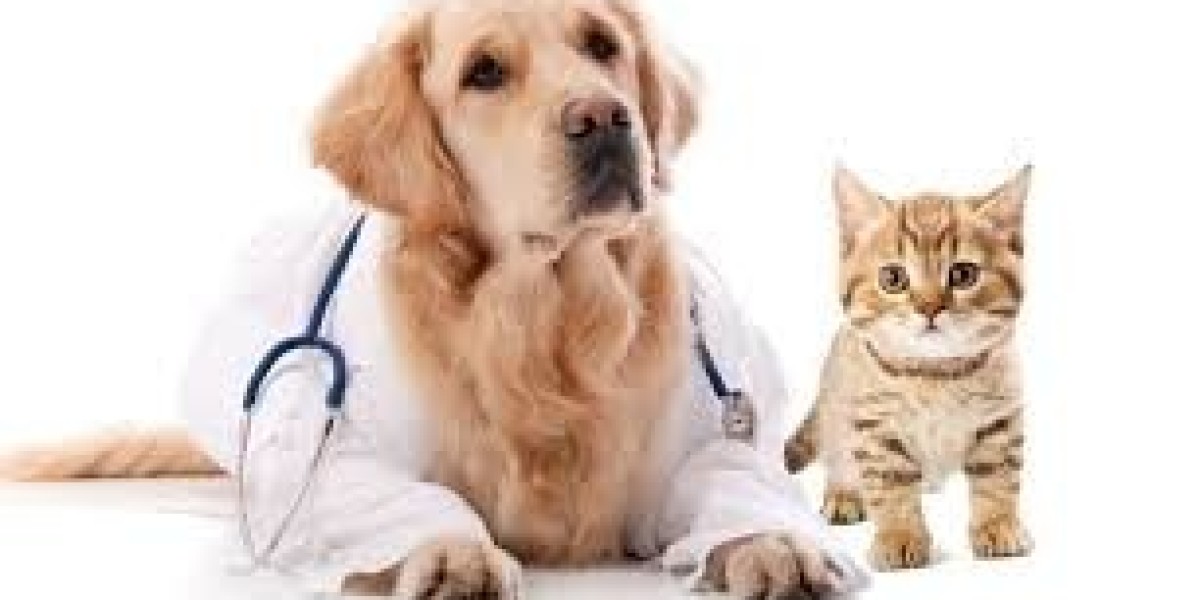 Animal Parasiticides Market Overview: Impact of Climate Change, Regulatory Policies, and Innovation on Market Trends