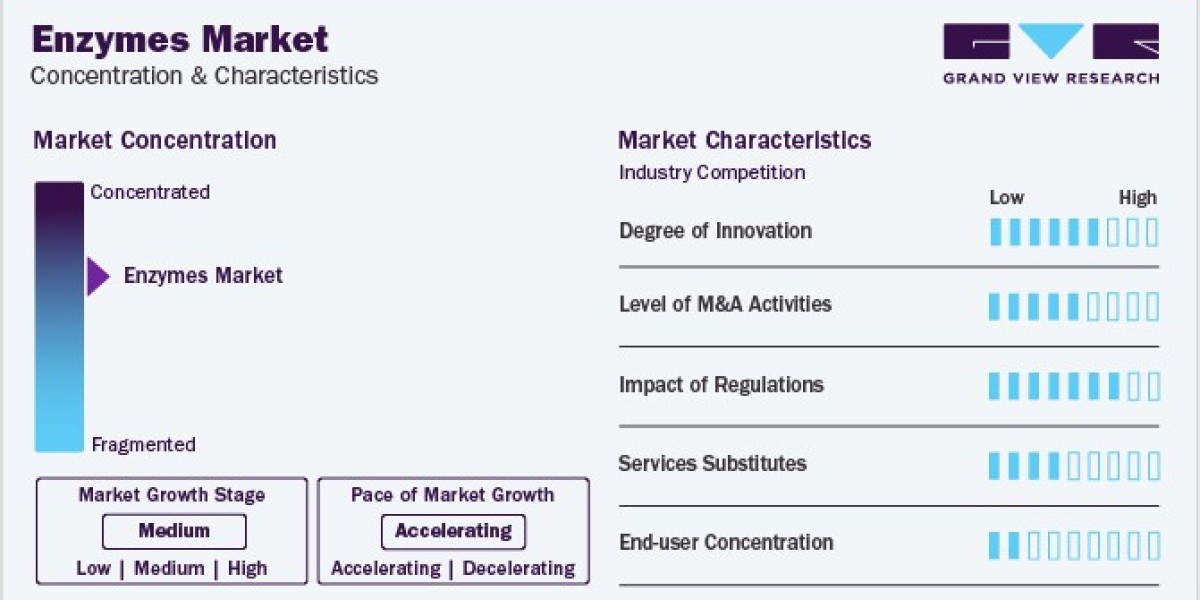 Enzymes Market Insights, Consumer Preferences and Market Evolution
