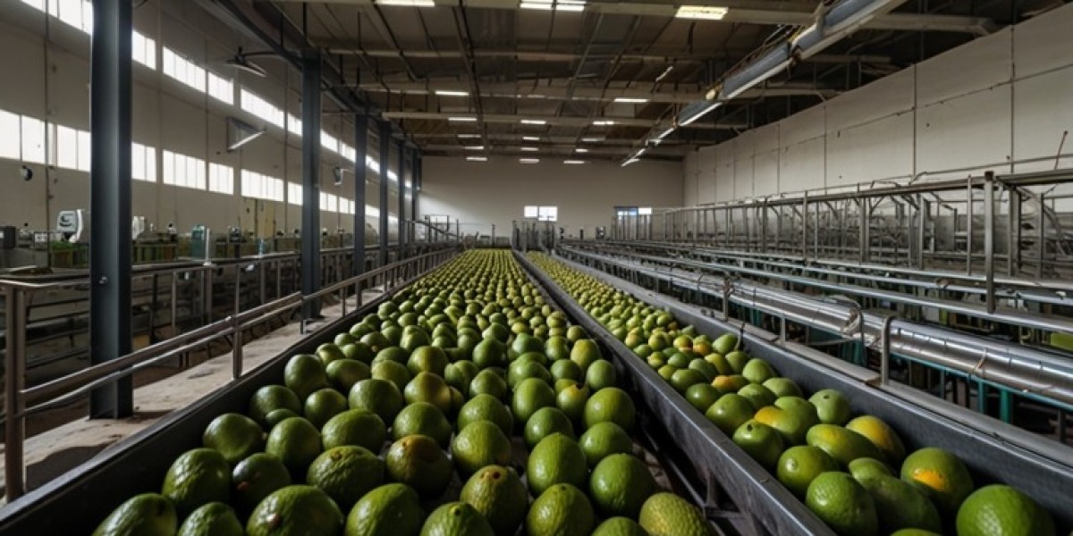 Avocado Processing Plant 2024: Machinery and Raw Materials
