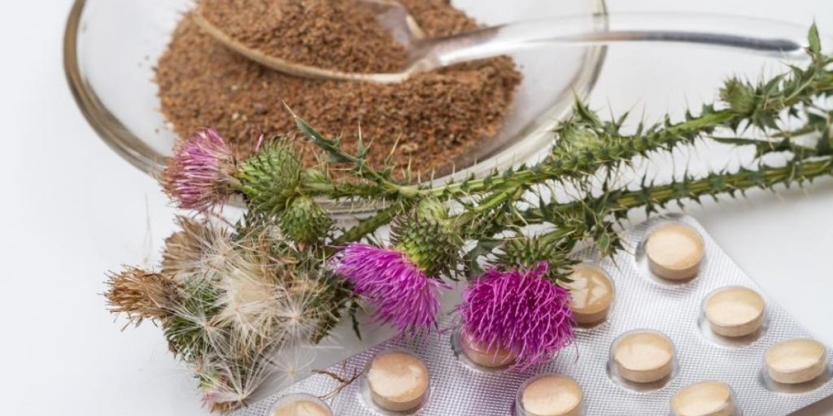 Milk Thistle Supplements Market Insights: A Comprehensive Overview of Market Drivers, Trends, and Competitive Analysis