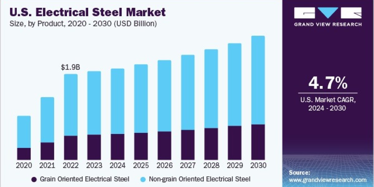 Electrical Steel Market 2030: Trends and Innovations in Magnetic Properties