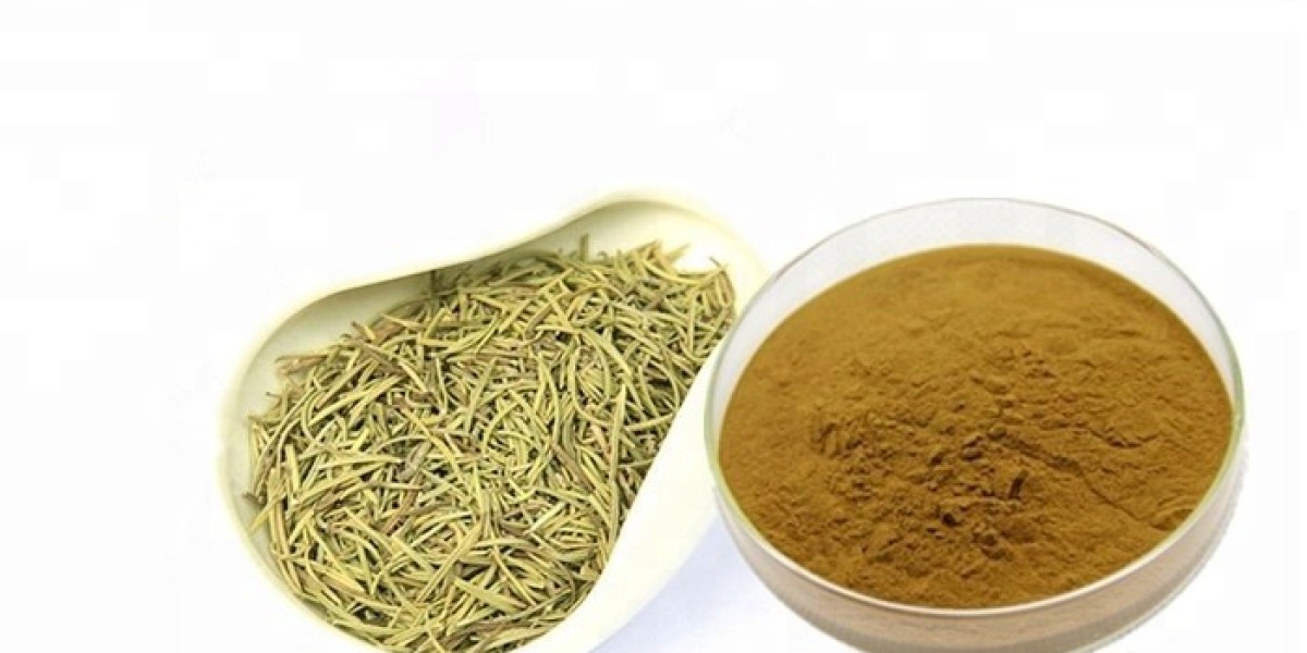 The Rising Demand for Stearate-Free Ursolic Acid Capsules in Nutrition