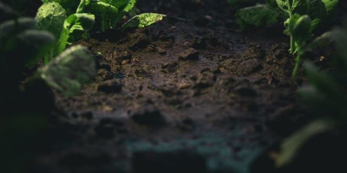 What Is the Recommended Dose of Novaluron + Indoxacarb Per Acre?