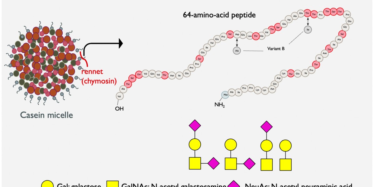 Casein Glycomacropeptide Market: Analyzing Demand from the Functional Beverage Sector