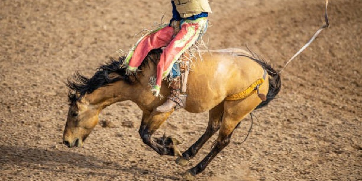 Affordable Mens Rodeo Chaps Without Compromising Quality