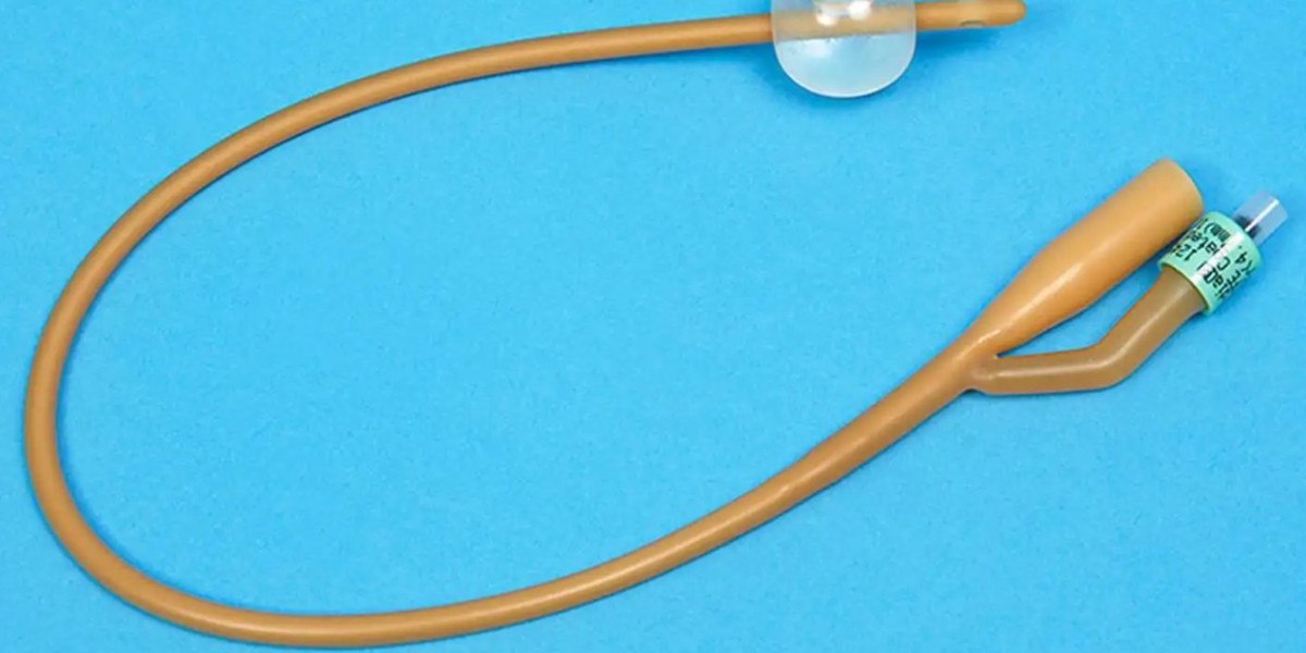 Urinary Catheters Market Scenario and Strategic Developments: Analyzing Market Shifts and Emerging Business Strategies
