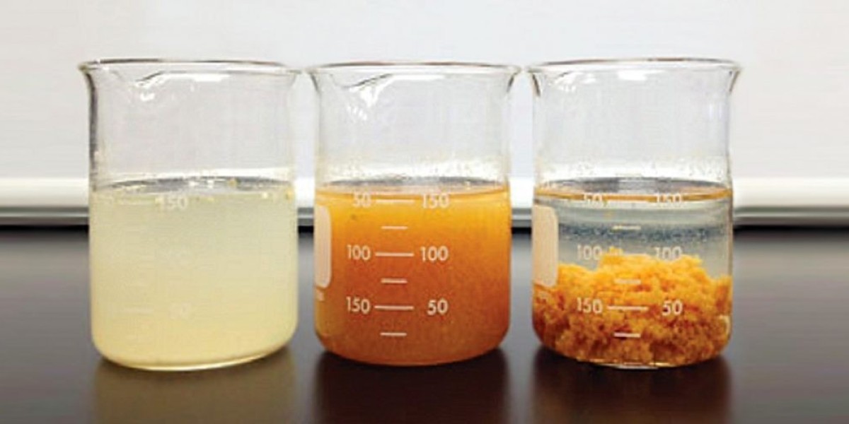 Flocculant and Coagulant Market Potential: Rising Demand from Water Treatment and Environmental Regulations