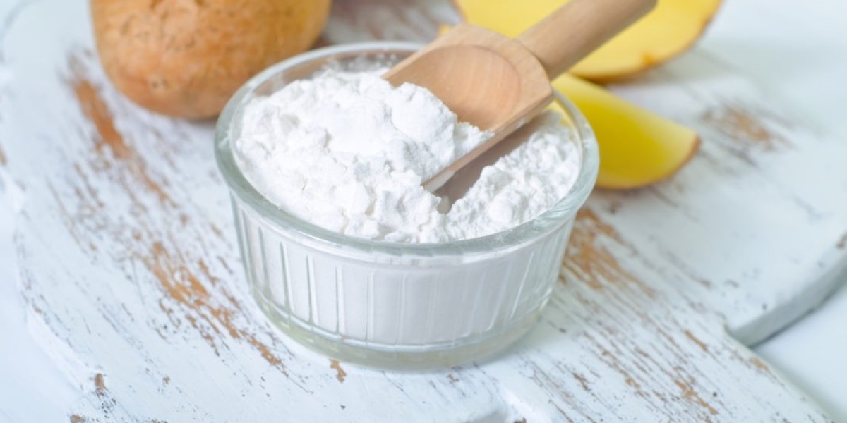 Organic Starch Market Overview Forecast and Strategic Insights on the Emerging Trends and Developments