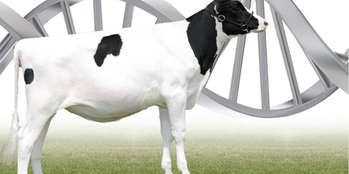 Animal Genetics Market Research Highlighting Innovative Technologies And Strategic Insights