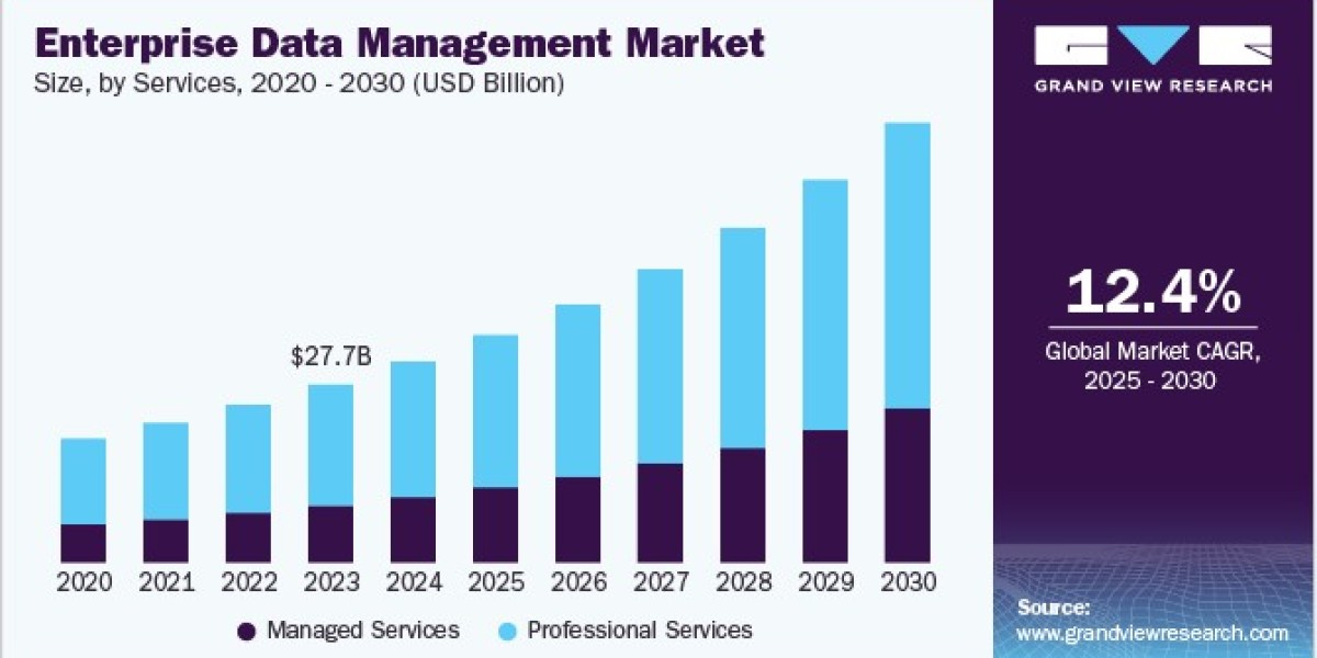 Enterprise Data Management Market Insights Into User Needs and Satisfaction Levels