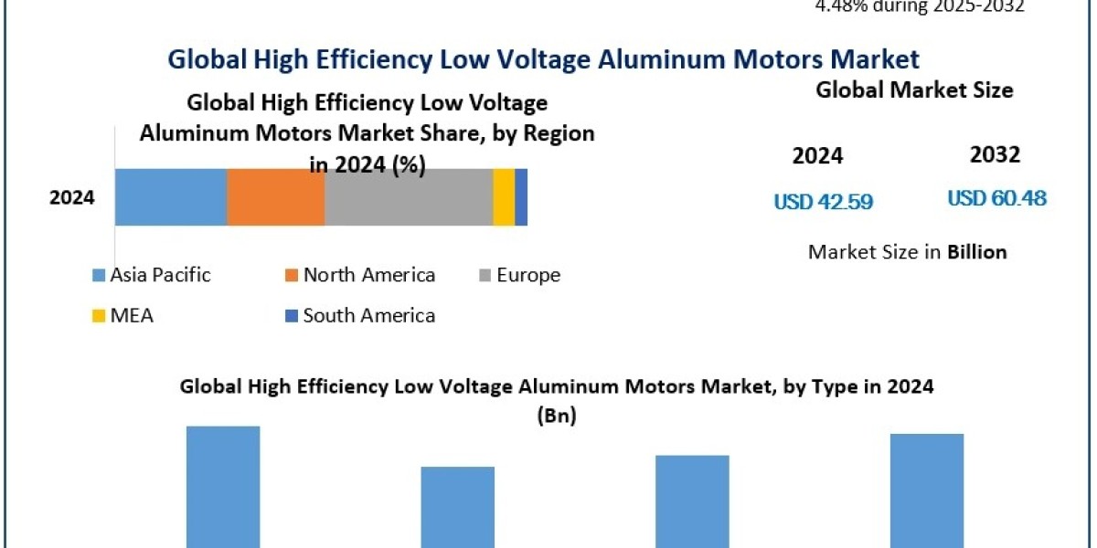 Navigating the High Efficiency Low Voltage Aluminum Motors Market: Key Drivers and Challenges