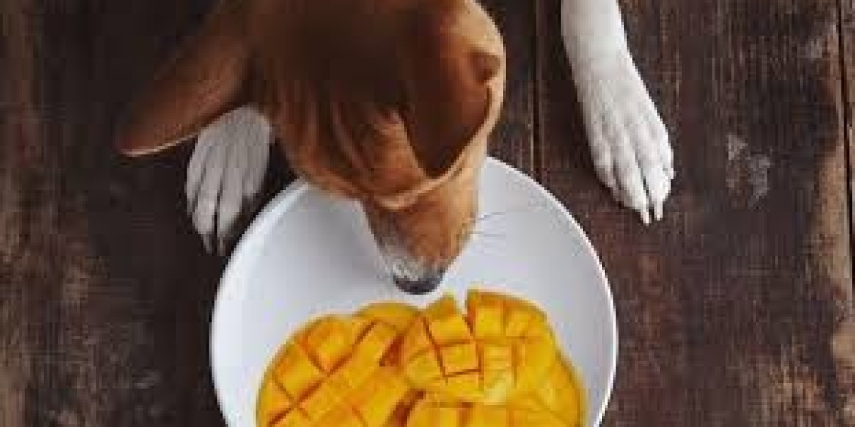 Can Dogs Eat Mango? A Guide to Feeding Mango to Your Dog