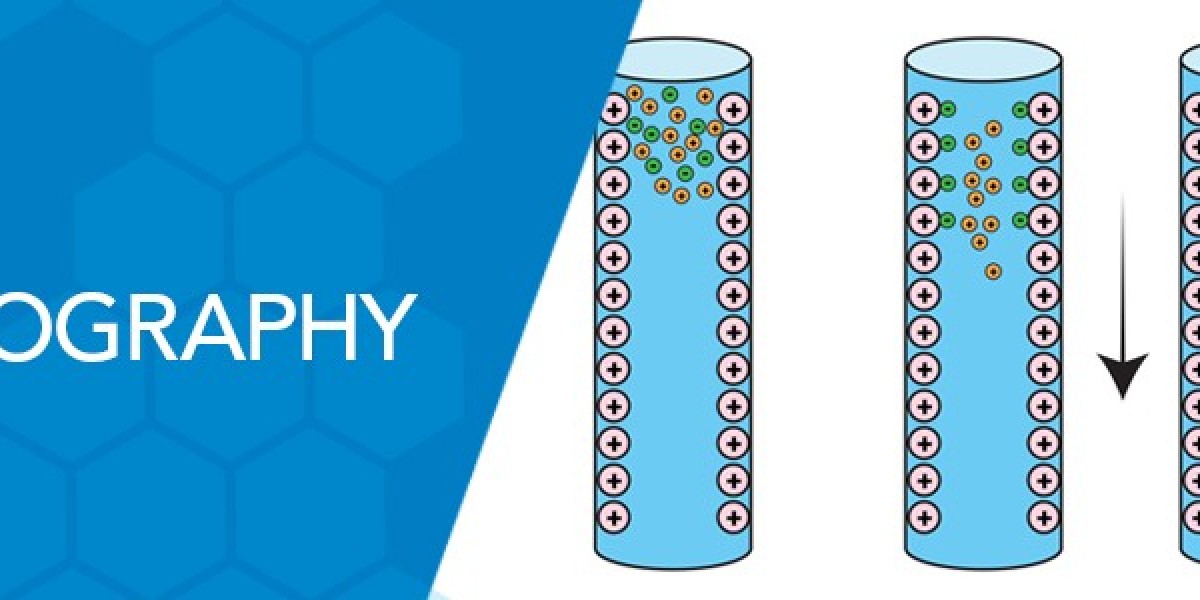 Ion Chromatography Market Segments and Future Prospects