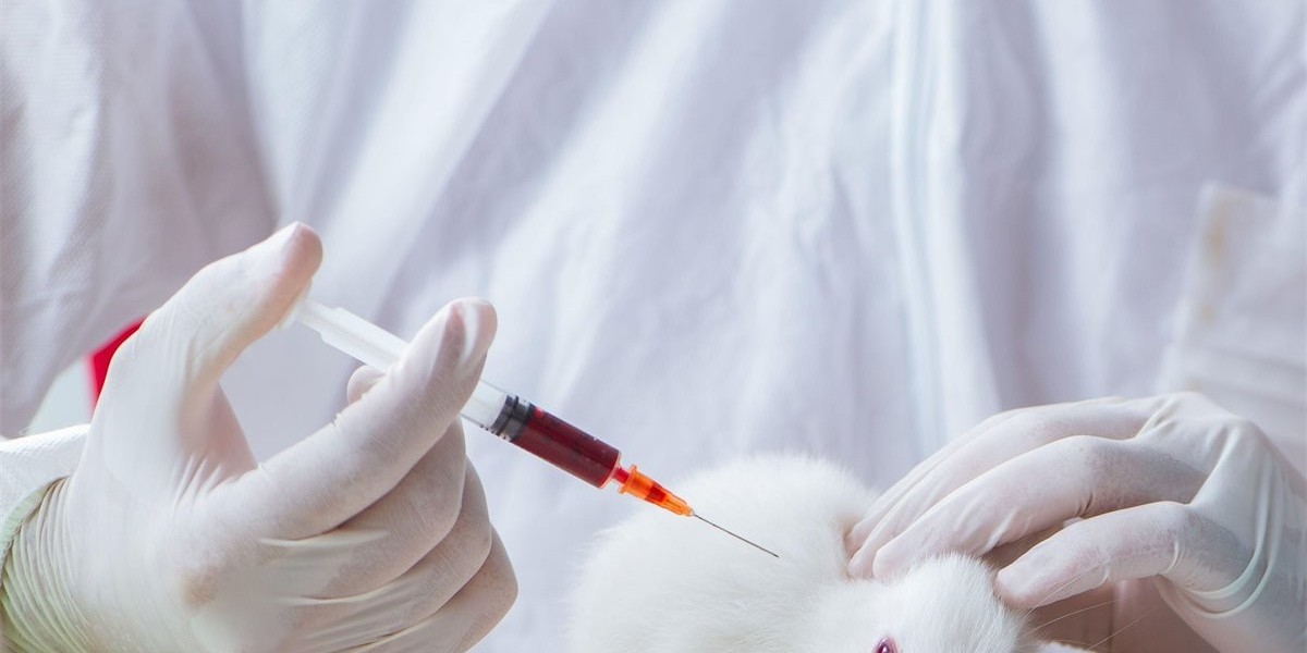 Animal Parasiticides Market Facing Key Disruptions Impacting Growth and Innovation