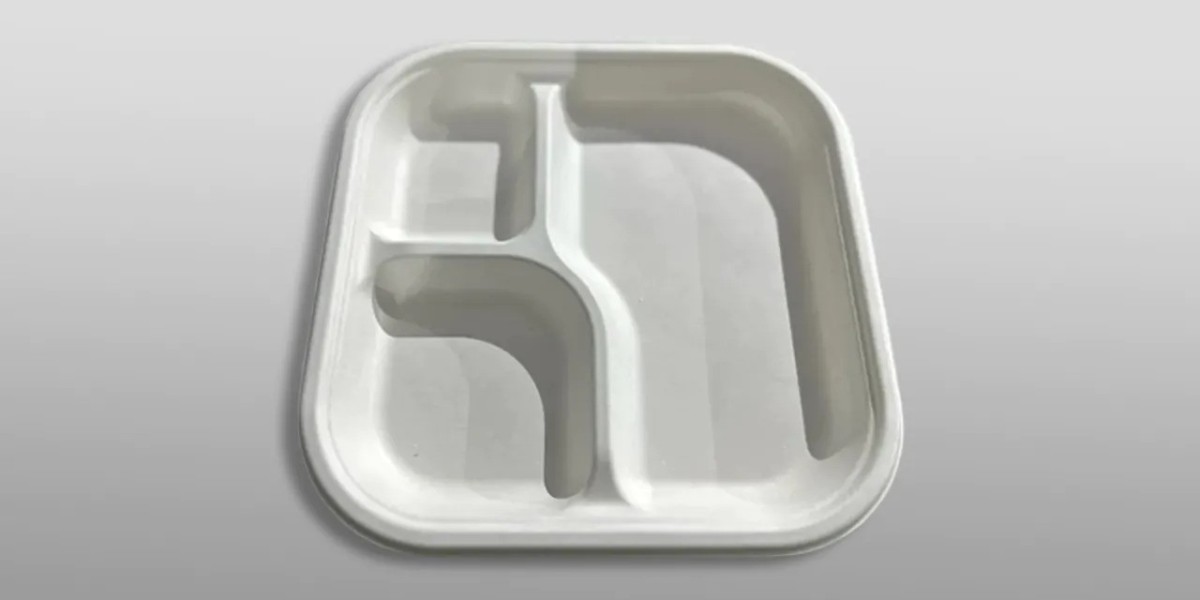 Comparing Biodegradable Plates to Traditional Plastic Plates: A Sustainability Perspective