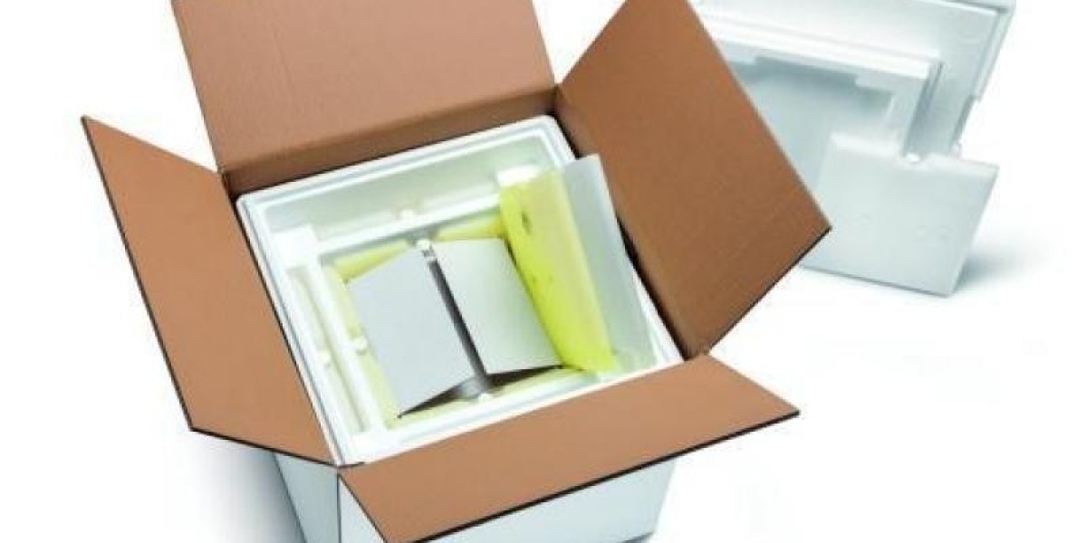 Temperature Controlled Packaging Market: Sustainable Packaging Solutions for Pharmaceutical Products in Global Logistics