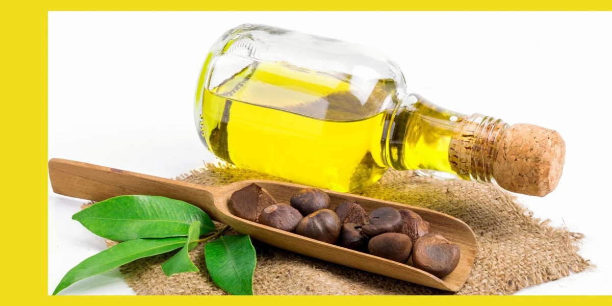 Camellia Seed Oil: Detailed Project Report, Comprehensive Business Plan, and Setup Cost