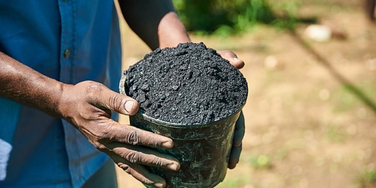 Biochar Market Disruptions and Their Impact on Global Agriculture and Sustainability