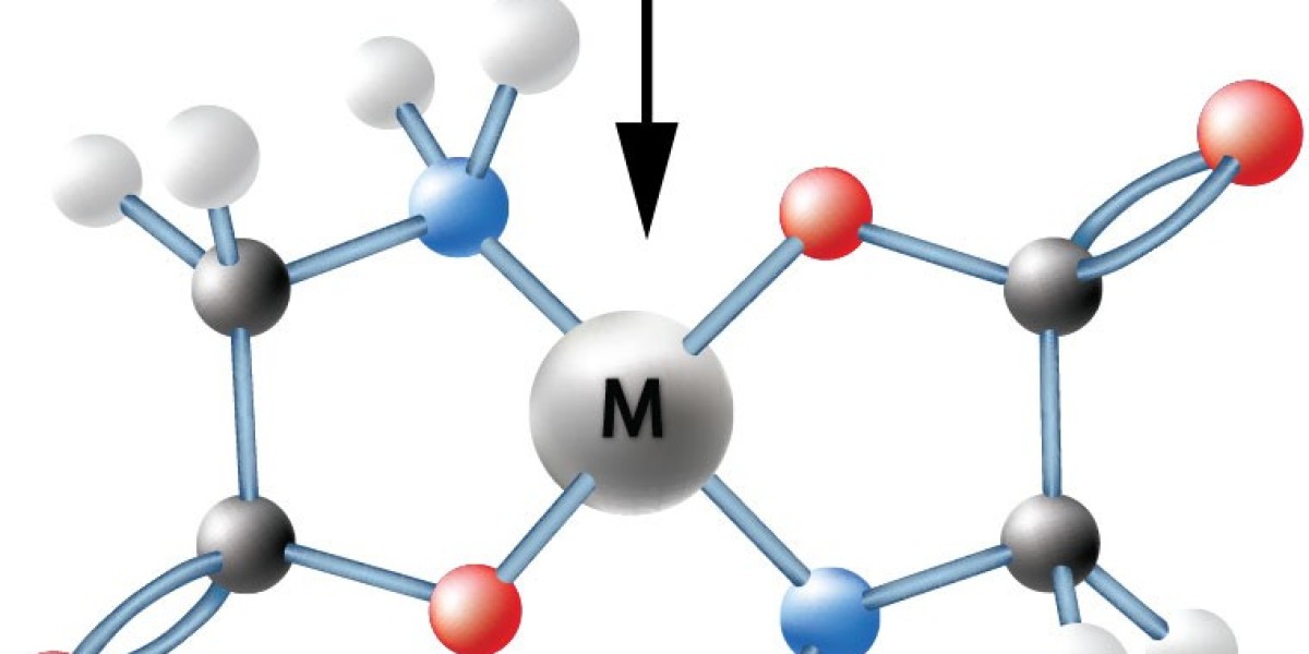 Regional Insights into the Chelated Minerals Market: Leaders and Laggards