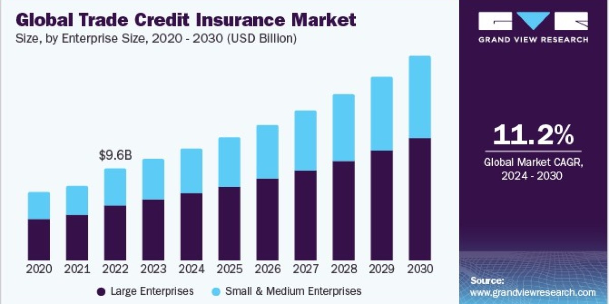 Trade Credit Insurance Market 2030: Key Players Shaping the Future of Risk Mitigation