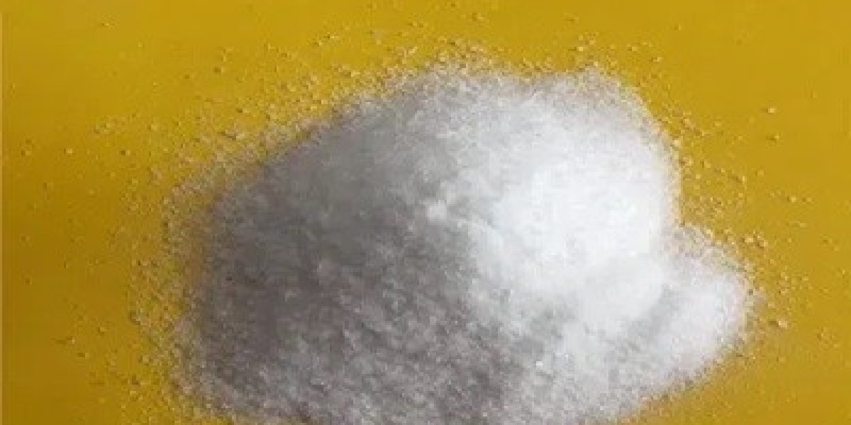 Purified Isophthalic Acid Market Leading Players and Growth Forecast To 2034
