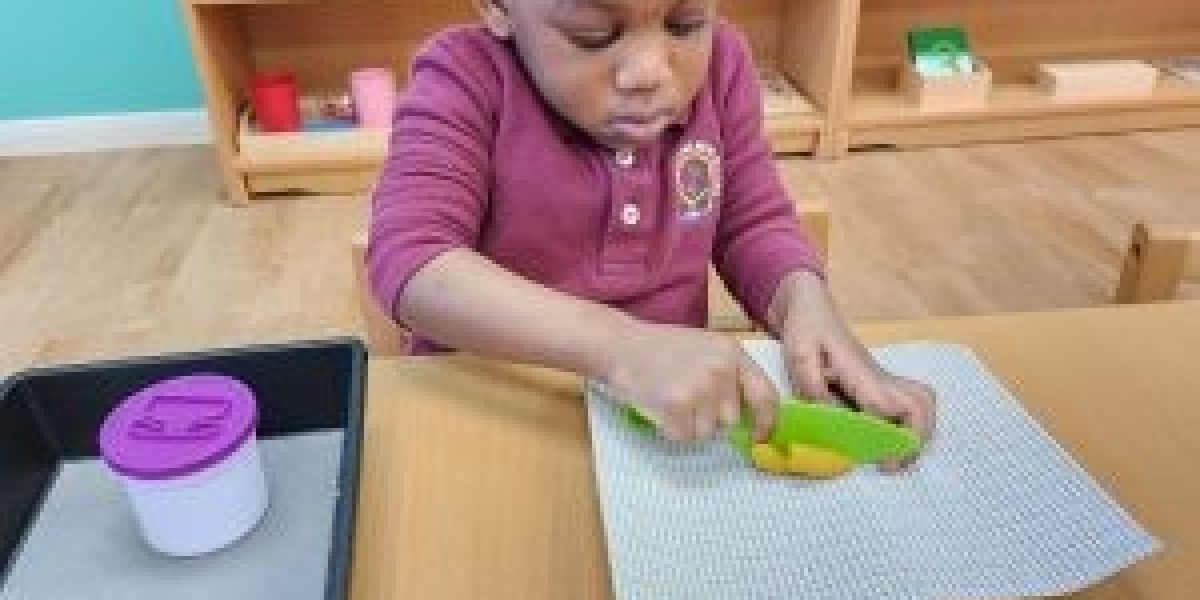 A Child-Centered Approach: Exploring the Montessori Toddler Curriculum