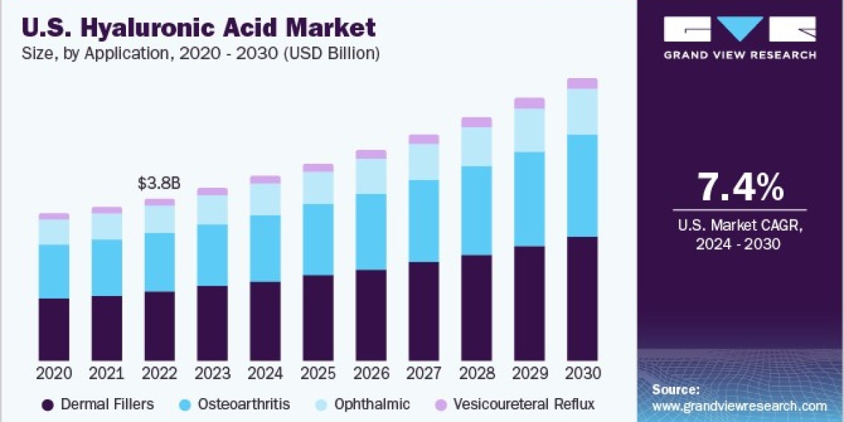 Hyaluronic Acid Market: Future Outlook on Emerging Applications and Technologies