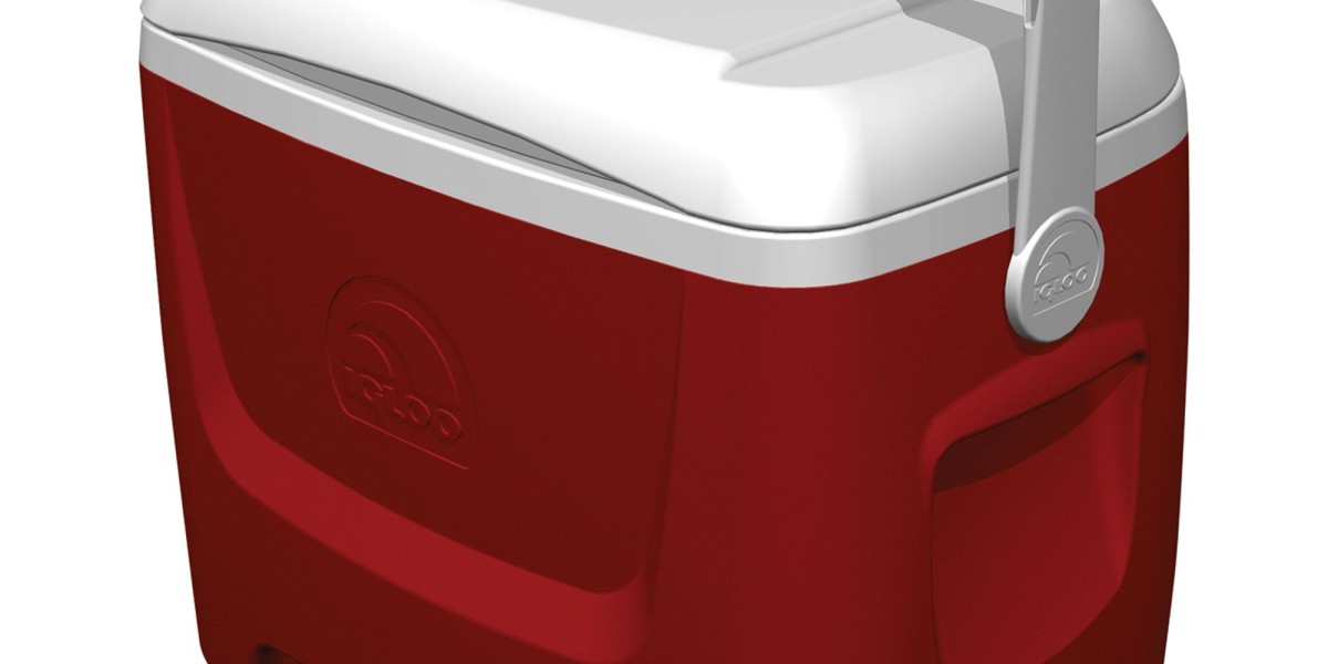 Ice Boxes Market Growth Expanding Applications in Commercial and Industrial Sectors