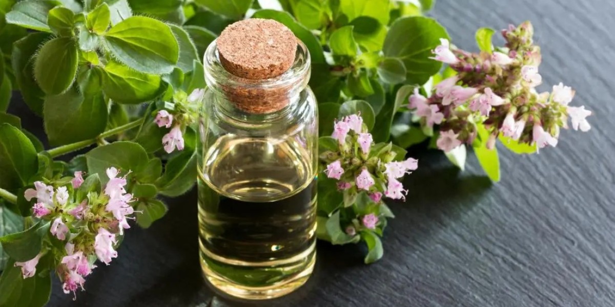 Top 8 Steps for Establishing a Oregano Oil Processing Plant