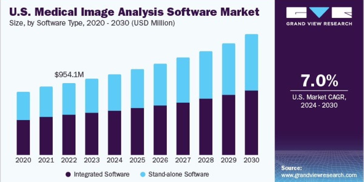 Medical Image Analysis Software Market Overview Highlights Key Strategies of Top Firms