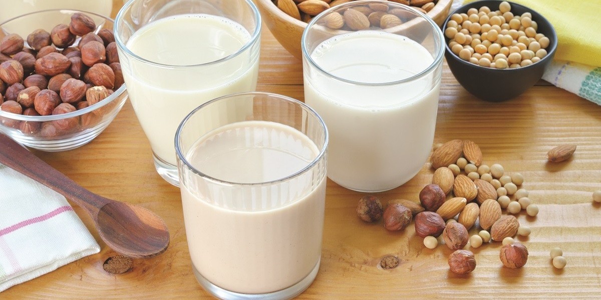 Dairy Alternatives Market to Experience Significant Growth by 2031