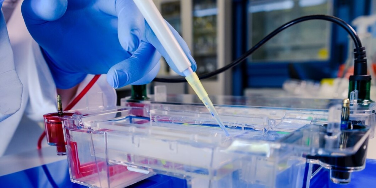 Automated Nucleic Acid Extraction System Market Growth and Key Factors Driving Industry Expansion Potential