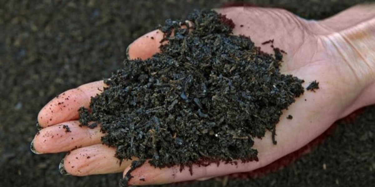 Biochar Market Analysis, Size, Share, Growth, Trends, and Forecasts by 2031