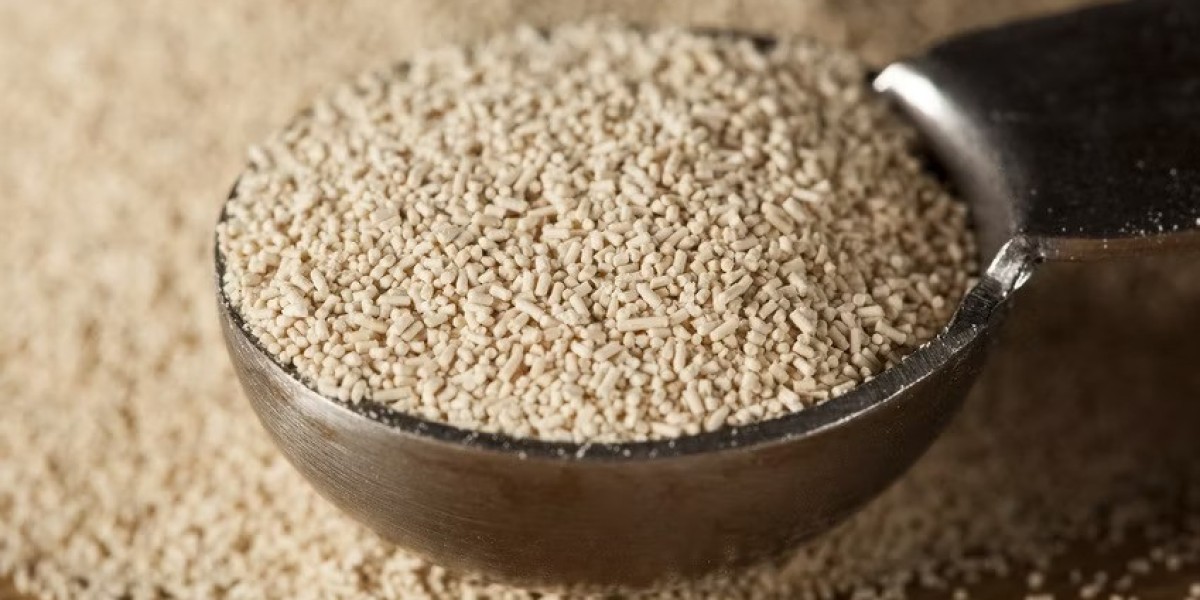 Dry Yeast Market Competitive Advantages: How Innovation, Cost-Effectiveness, and Technology Drive Business Success and G