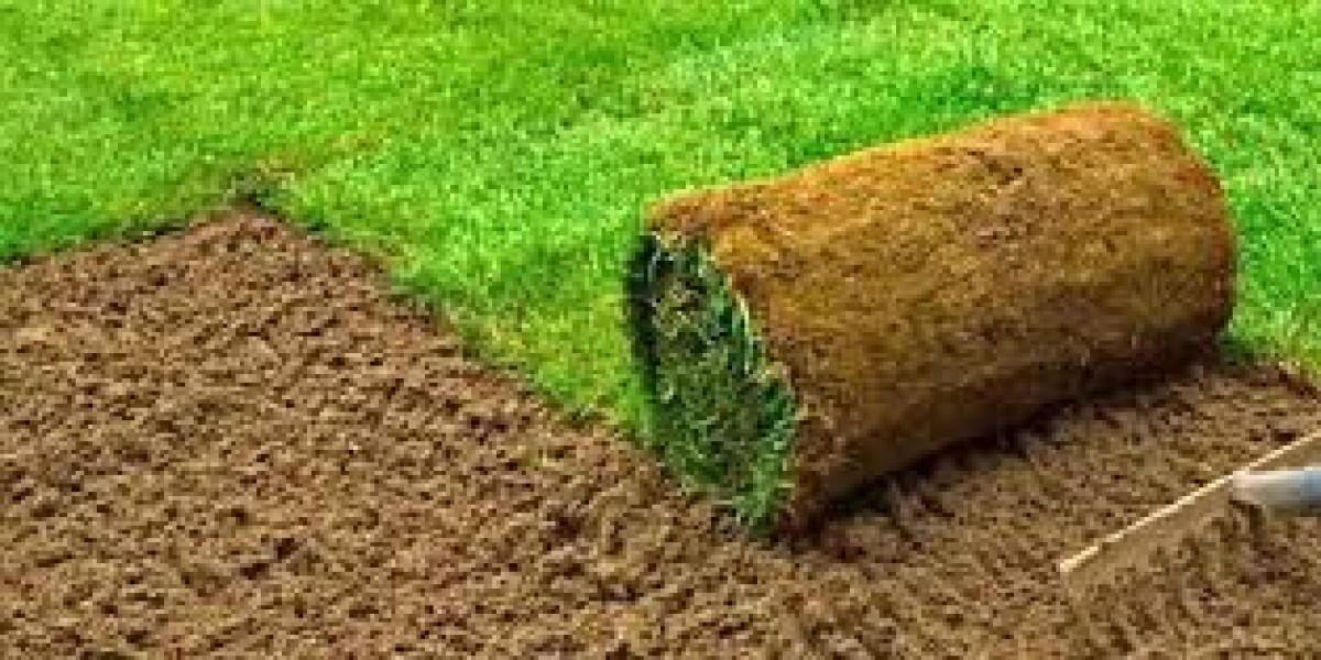 Sod Price in Edmonton: What to Expect for a Lush Lawn