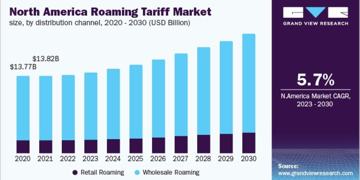 Roaming Tariff Market: Analyzing the Effectiveness of Promotional Offers