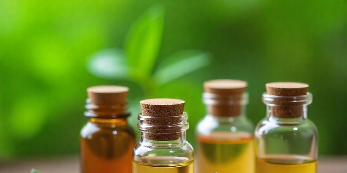 Plant-Based Personal Care Ingredients Market Opportunities and Key Challenges in the Growing Industry
