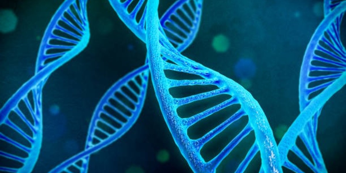 DNA Test in Riyadh: Get Insight into Your Family's History