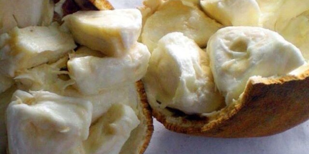Cupuacu Butter Market Analysis: Regional Outlook and Opportunities